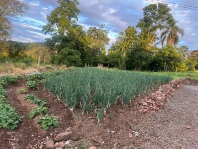 Foto 10 de 10: Area Rural em leilão em Encantado - RS — LOTE 001 ÁREA DE TERRAS COM 37.125,00m2 E BENFEITORIAS EM ENCANTADO/RS - JUSTIÇA DO TRABALHO