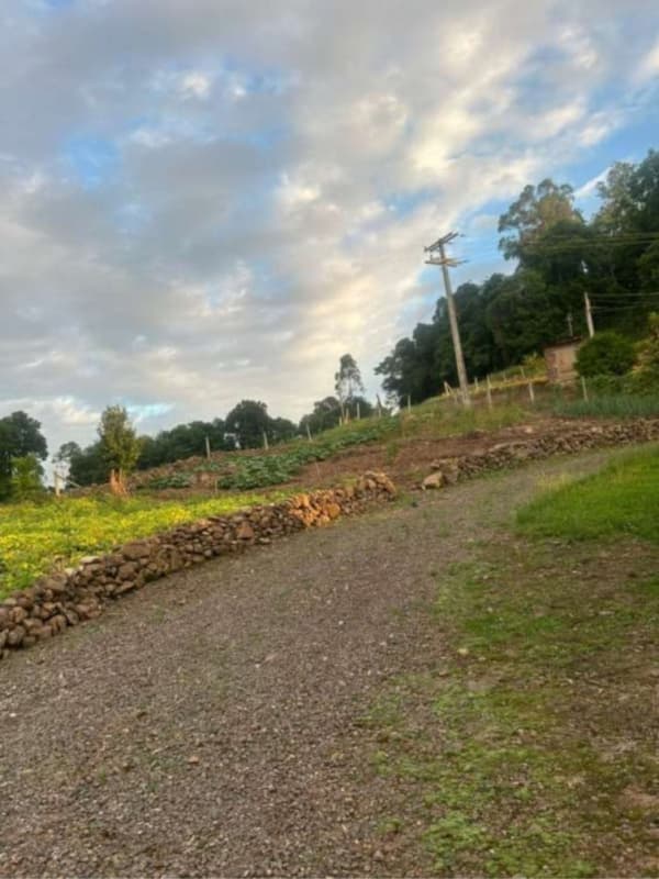 Foto 9 de 10: Area Rural em leilão em Encantado - RS — LOTE 001 ÁREA DE TERRAS COM 37.125,00m2 E BENFEITORIAS EM ENCANTADO/RS - JUSTIÇA DO TRABALHO