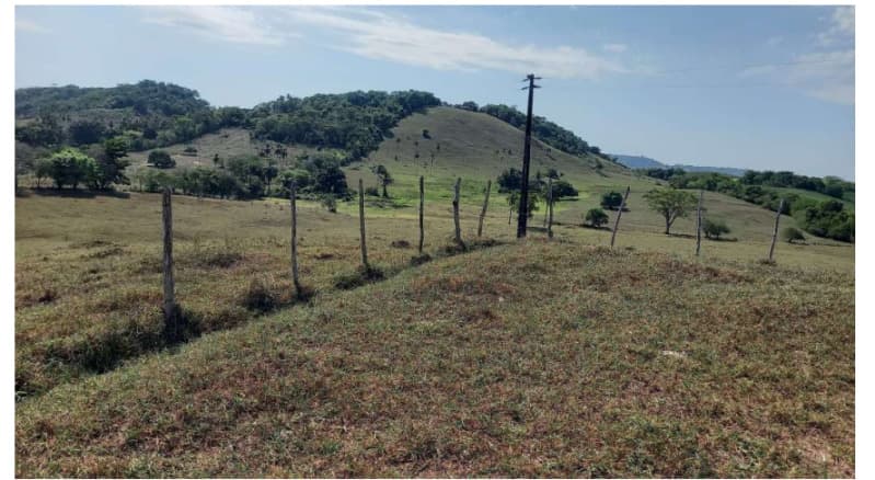Foto 2 de 19: Area Rural em leilão em Rosário Do Catete - SE — LOTE 001 01 (um) imóvel rural, denominado Fazenda Olhos D’Água, localizada na Zona Rural no municípi