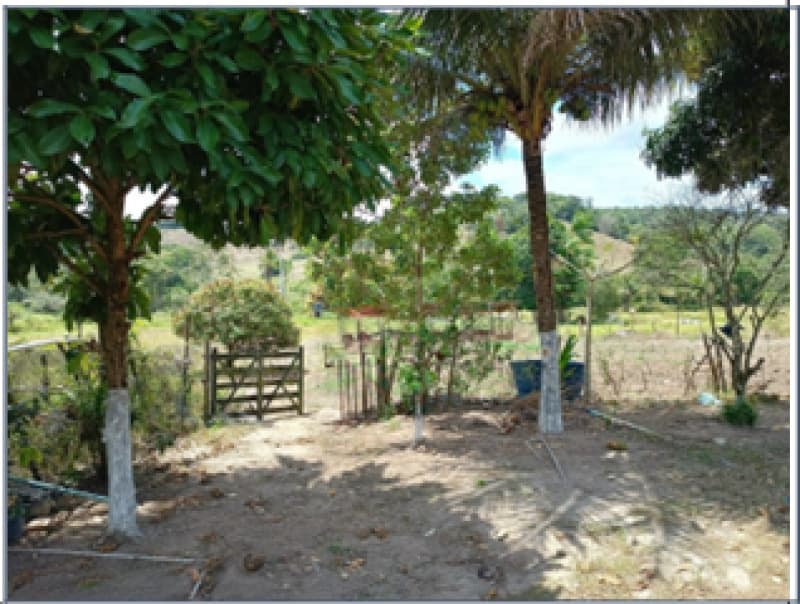 Foto 2 de 3: Terreno em leilão em Itabaiana - SE — LOTE 008 TERRENO MEDINDO 11,7011ha EM ITABAIANA/SE