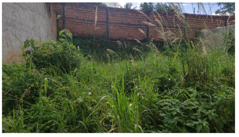 Foto 5 de 5: Terreno em leilão em Capela - SE — LOTE 001 TERRENO EM CAPELA/SE