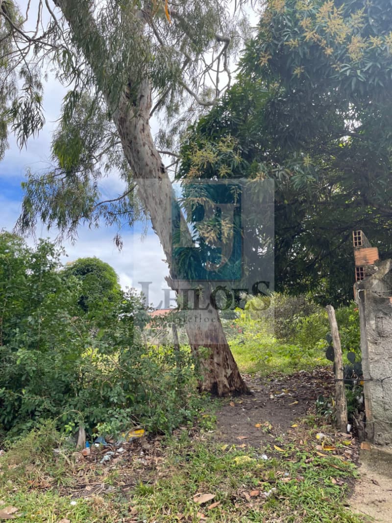 Foto 1 de 2: Terreno em leilão em Aracaju - SE — LOTE 004 LOTE DE 400 M2 NO LOTEAMENTO RGA NA ESTRADA REAL, MOSQUEIRO