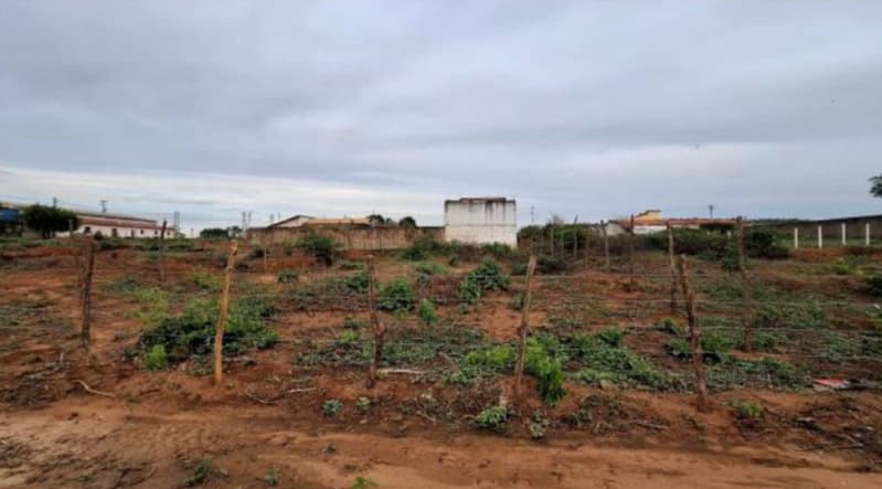 Foto 1 de 5: Terreno em leilão em Crato - CE — LOTE 012 CEARÁ - CRATO/CE - TERRENO