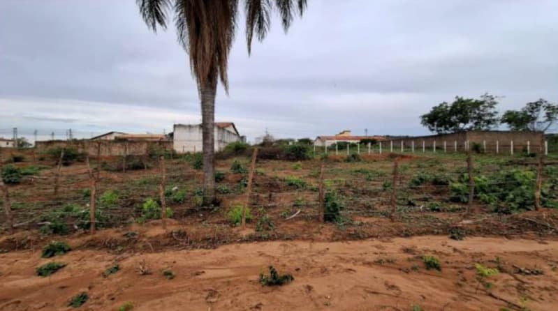 Foto 4 de 5: Terreno em leilão em Crato - CE — LOTE 012 CEARÁ - CRATO/CE - TERRENO