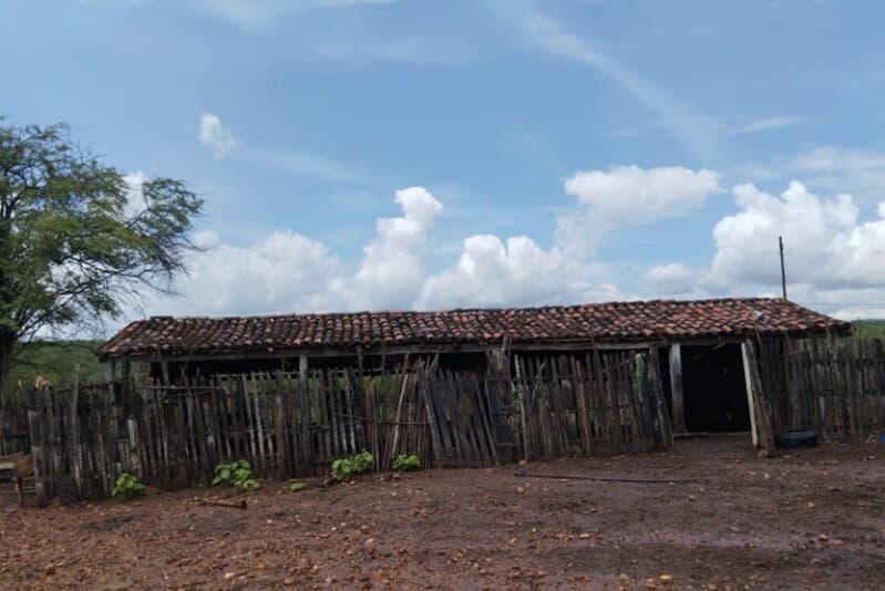 Foto 2 de 3: Area Rural em leilão em Salgueiro - PE — LOTE 053 PERNAMBUCO - SALGUEIRO/PE - FAZENDA/ÁREA RURAL