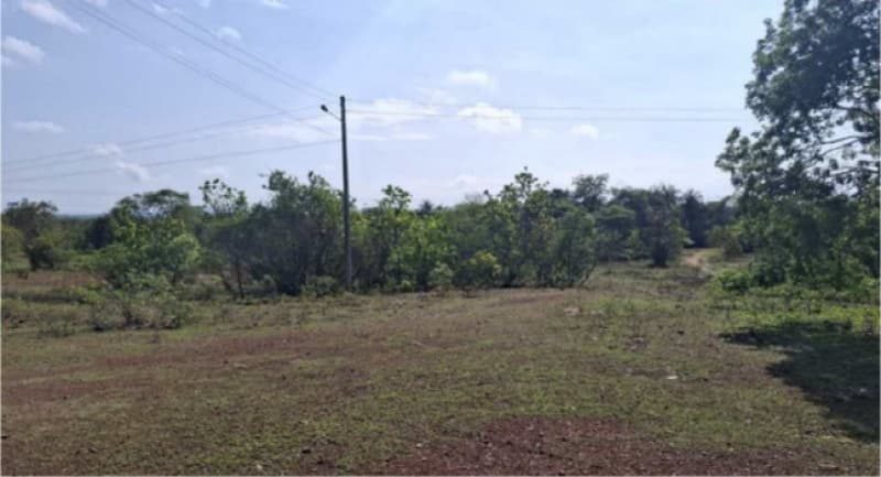 Foto 4 de 4: Area Rural em leilão em Piripiri - PI — LOTE 065 PIAUÍ - PIRIPIRI/PI - ÁREA RURAL/FAZENDA