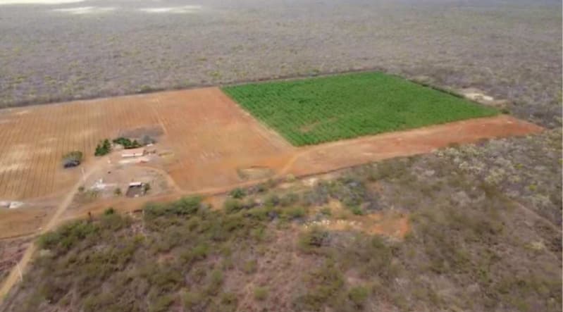 Foto 6 de 8: Comercial em leilão em Nossa Senhora Das Dores - SE, bairro Centro — LOTE 068 SERGIPE - NOSSA SENHORA DAS DORES/SE - GALPÃO COMERCIAL