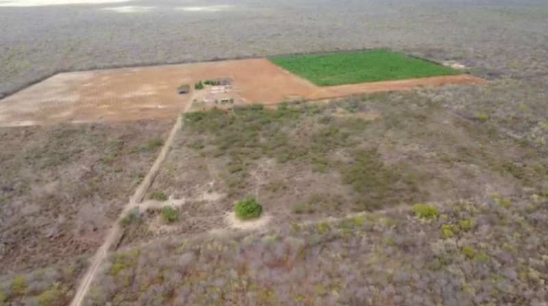 Foto 7 de 8: Comercial em leilão em Nossa Senhora Das Dores - SE, bairro Centro — LOTE 068 SERGIPE - NOSSA SENHORA DAS DORES/SE - GALPÃO COMERCIAL