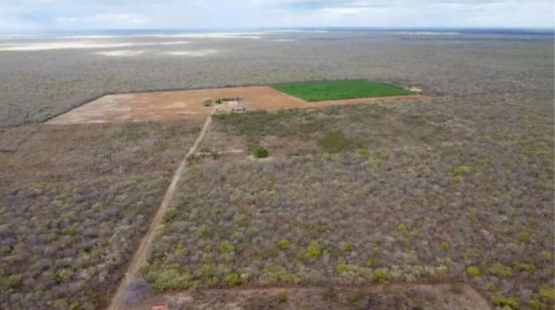 Foto 8 de 8: Comercial em leilão em Nossa Senhora Das Dores - SE, bairro Centro — LOTE 068 SERGIPE - NOSSA SENHORA DAS DORES/SE - GALPÃO COMERCIAL