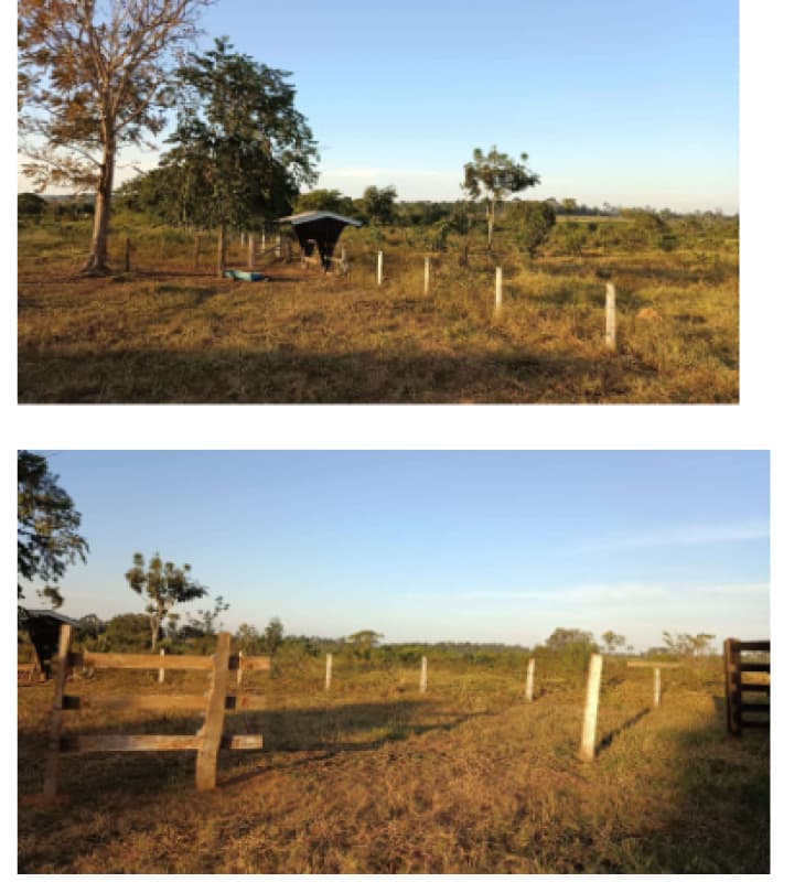 Area Rural em leilão em São Miguel Do Guaporé - RO — LOTE 001 LOTE 31-A-2, GLEBA 08, GLEBA RIO BRANCO, SETOR SÃO MIGUEL, PF/JOP, denominado CHÁCARA POR D