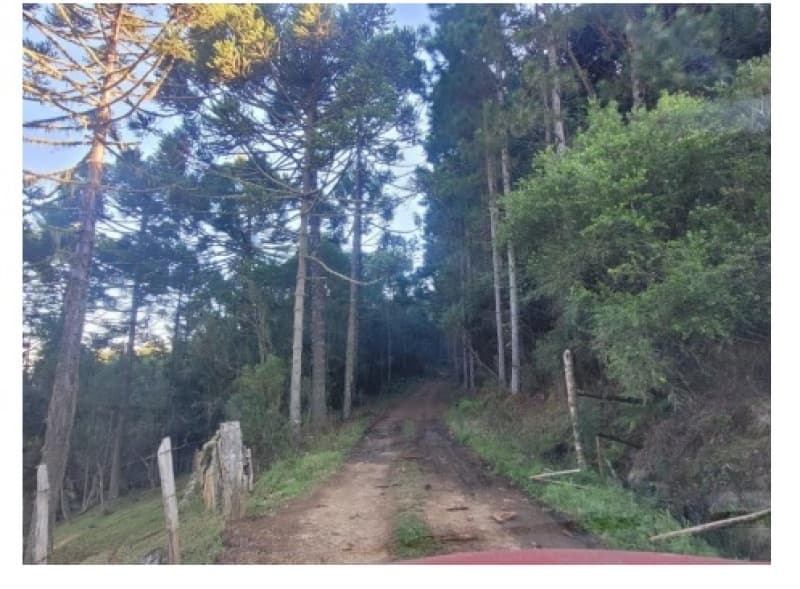 Foto 1 de 3: Area Rural em leilão em Bom Jardim Da Serra - SC — LOTE 001 UM TERRENO RURAL, com a área superficial de 276.864,45m2 (duzentos e setenta e seis mil, oi