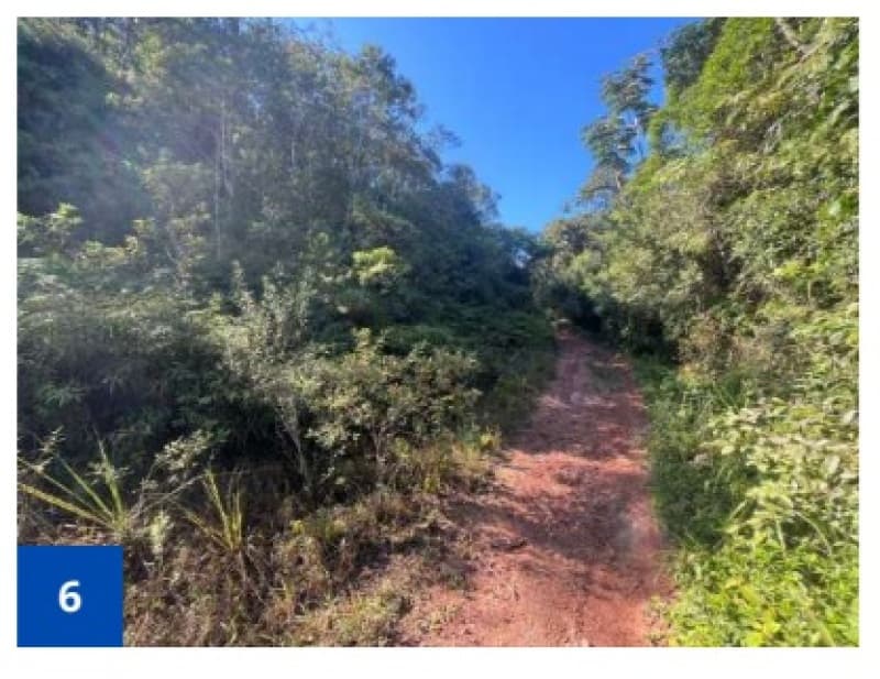 Foto 6 de 18: Terreno em leilão em São Francisco Do Sul - SC, bairro Morro Grande — LOTE 001 Um terreno alodial, de forma irregular, situado no lugar "Morro Grande", zona urbana de São