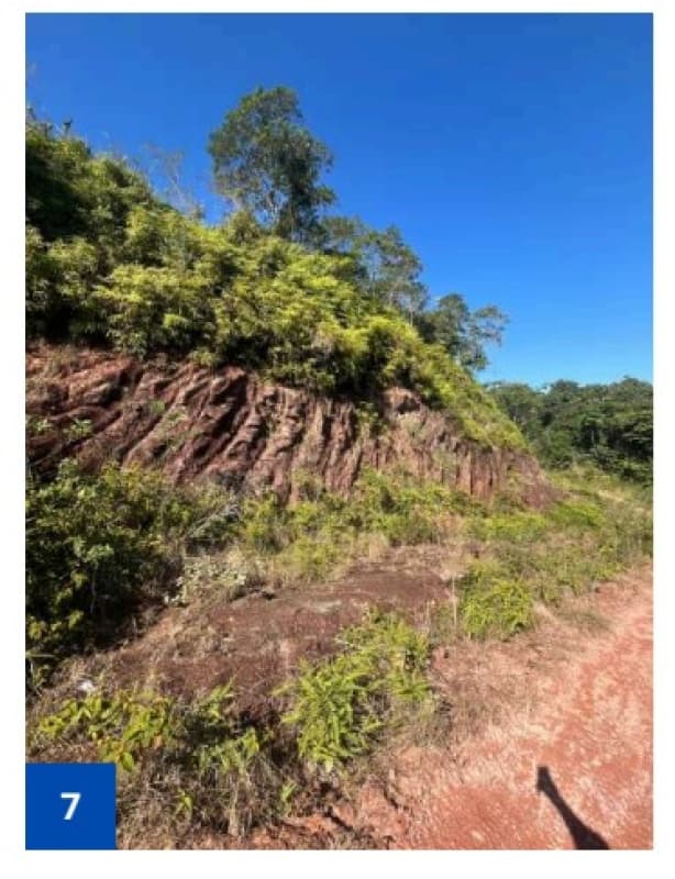 Foto 7 de 18: Terreno em leilão em São Francisco Do Sul - SC, bairro Morro Grande — LOTE 001 Um terreno alodial, de forma irregular, situado no lugar "Morro Grande", zona urbana de São