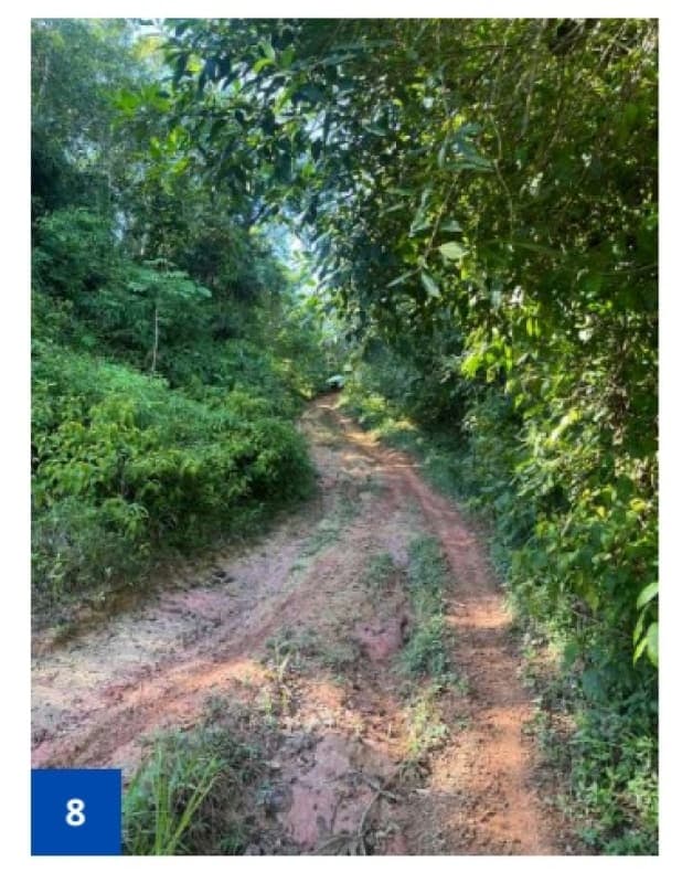 Foto 8 de 18: Terreno em leilão em São Francisco Do Sul - SC, bairro Morro Grande — LOTE 001 Um terreno alodial, de forma irregular, situado no lugar "Morro Grande", zona urbana de São