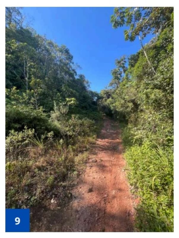 Foto 9 de 18: Terreno em leilão em São Francisco Do Sul - SC, bairro Morro Grande — LOTE 001 Um terreno alodial, de forma irregular, situado no lugar "Morro Grande", zona urbana de São