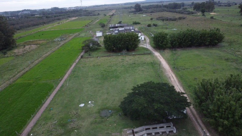 Foto 6 de 10: Comercial em leilão em Pelotas - RS — LOTE 001 Imóvel Industrial na Estrada Passo do Salso
