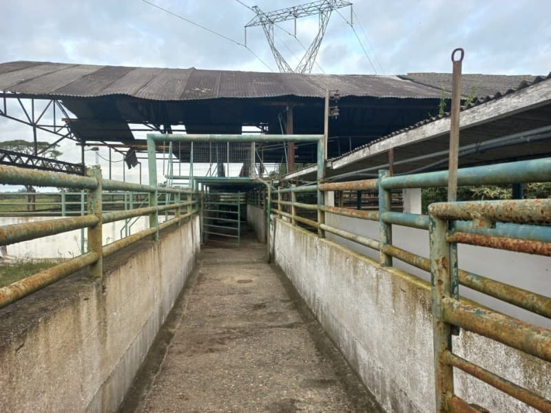 Foto 2 de 10: Comercial em leilão em Pelotas - RS — LOTE 001 Imóvel Industrial na Estrada Passo do Salso