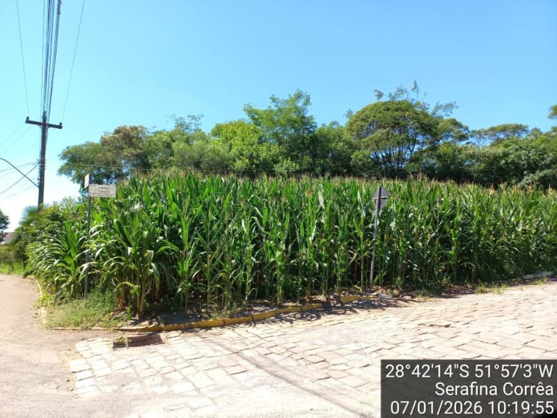 Terreno em leilão em Serafina Corrêa - RS — LOTE 003 Área de Terras no Loteamento Calgaro Serafina Corrêa