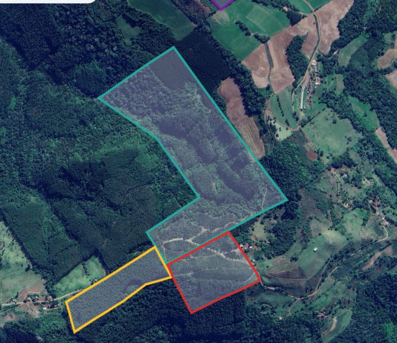 Area Rural em leilão em Paial - SC — LOTE 003 Imóvel com 275.000m² com plantio de reflorestamento de eucalipto em Paial/SC
