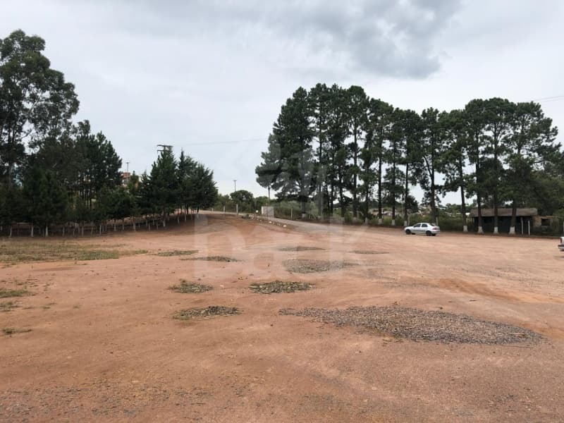 Foto 14 de 14: Area Rural em leilão em Encruzilhada Do Sul - RS — LOTE 006 40.425 m² de área de terras, e diversos prédios em alvenaria localizados na antiga sede da