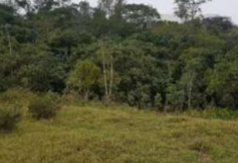 Foto 2 de 6: Area Rural em leilão em Itaquaquecetuba - SP — LOTE 025 Gleba Urbana – Itaquaquecetuba/SP