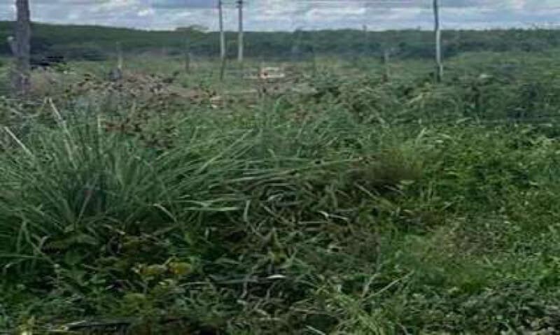 Foto 2 de 3: Terreno em leilão em Iguatu - CE — LOTE 005 Lote 27 Quadra 06 - Loteamento Araras - 150m² - Iguatu/CE