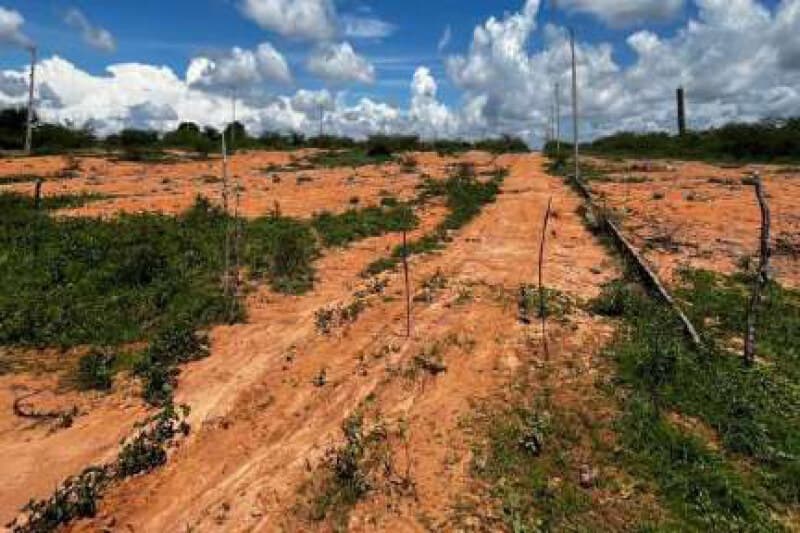 Foto 3 de 3: Terreno em leilão em Iguatu - CE — LOTE 011 Lote 33 Quadra 06 - Loteamento Araras - 150m² - Iguatu/CE