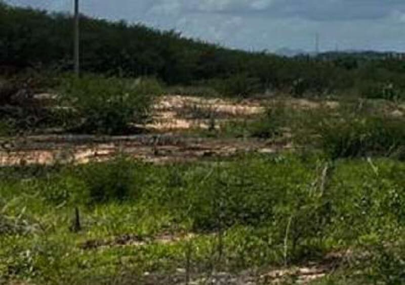 Foto 2 de 3: Terreno em leilão em Iguatu - CE — LOTE 012 Lote 34 Quadra 06 - Loteamento Araras - 150m² - Iguatu/CE