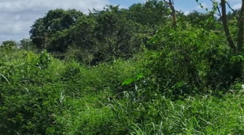 Foto 2 de 8: Terreno em leilão em Juazeiro Do Norte - CE, bairro Lagoa Seca — LOTE 015 Terreno 8.801,28m² - Lotes 1, 2, 03-A e 03-B Qd C, Lagoa Seca - Juazeiro do Norte/CE