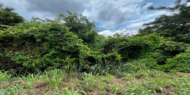Foto 2 de 8: Terreno em leilão em Iguatu - CE — LOTE 028 Terreno Urbano 5.862,82m² - Rodovia CE-375 - Iguatu/CE