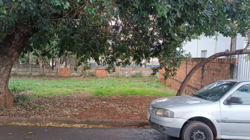 Foto 5 de 5: Terreno em leilão em José Bonifácio - SP — LOTE 010 Imóvel pertencente a Matrícula Imobiliária n° 13.671 do Cartório de Registro de Imóveis da