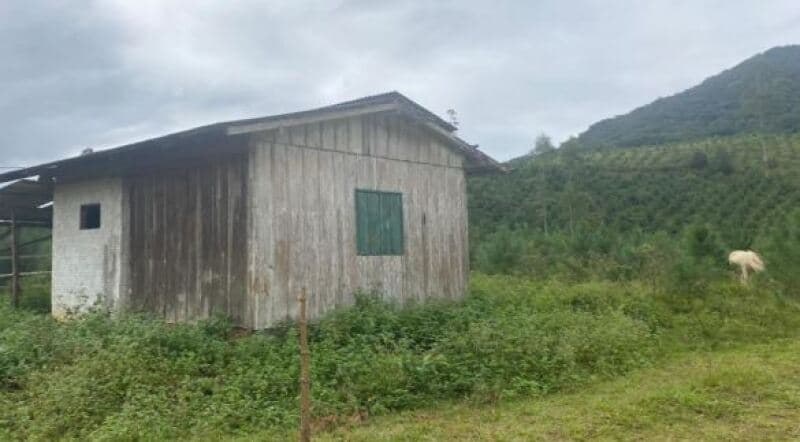 Foto 2 de 3: Area Rural em leilão em Gaspar - SC — LOTE 013 IMÓVEL RURAL