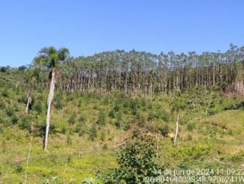 Area Rural em leilão em Gaspar - SC — LOTE 015 IMÓVEL RURAL