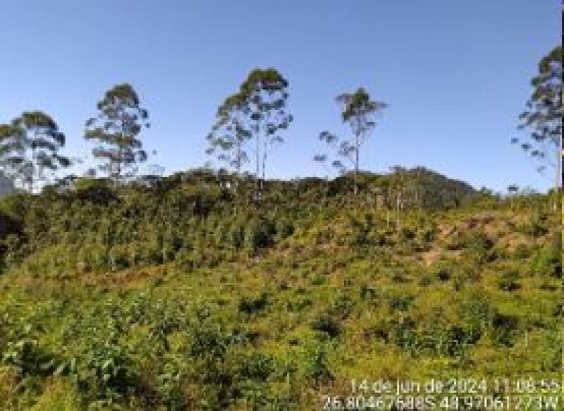 Foto 2 de 4: Area Rural em leilão em Ilhota - SC — LOTE 015 IMÓVEL RURAL