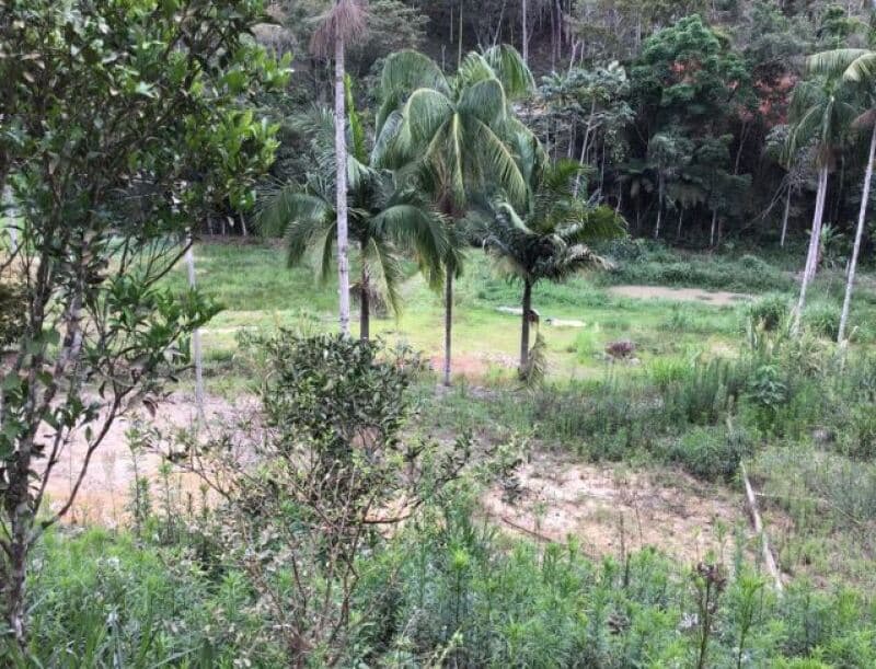 Foto 5 de 11: Area Rural em leilão em Sumidouro - RJ — LOTE 001 LOTE ÚNICO