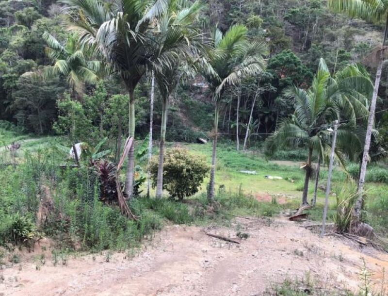Foto 8 de 11: Area Rural em leilão em Sumidouro - RJ — LOTE 001 LOTE ÚNICO