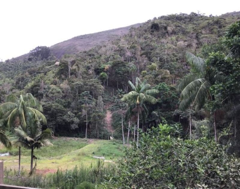 Foto 10 de 11: Area Rural em leilão em Sumidouro - RJ — LOTE 001 LOTE ÚNICO