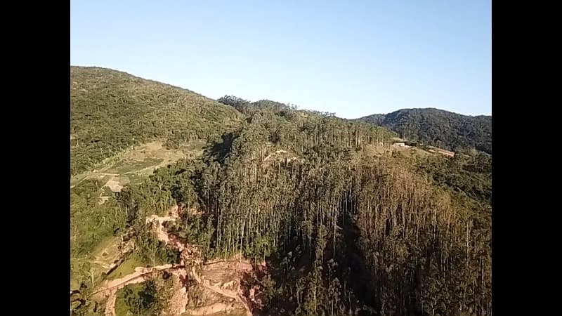 Foto 1 de 2: Terreno em leilão em Antônio Carlos - SC — LOTE 002 IMÓVEL
