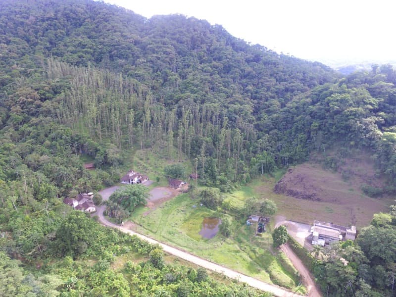 Foto 6 de 6: Terreno em leilão em Rodeio - SC — LOTE 001 TERRENO RURAL