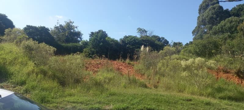 Foto 6 de 11: Terreno em leilão em São José Dos Pinhais - PR — LOTE 001 Terreno em São José dos Pinhais