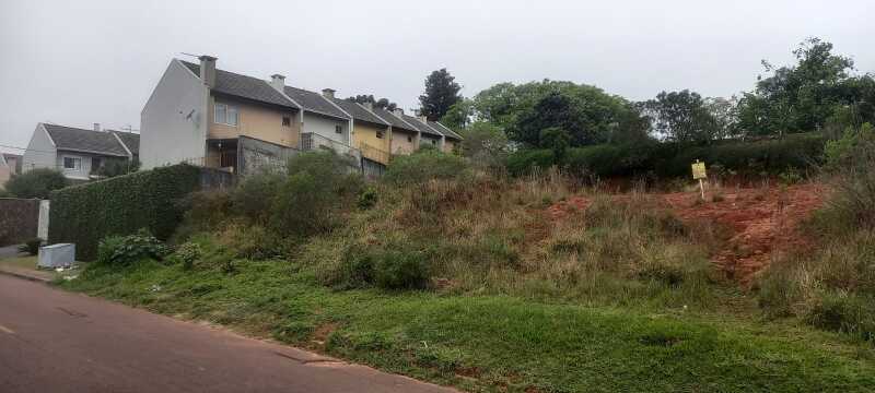 Foto 10 de 11: Terreno em leilão em São José Dos Pinhais - PR — LOTE 001 Terreno em São José dos Pinhais