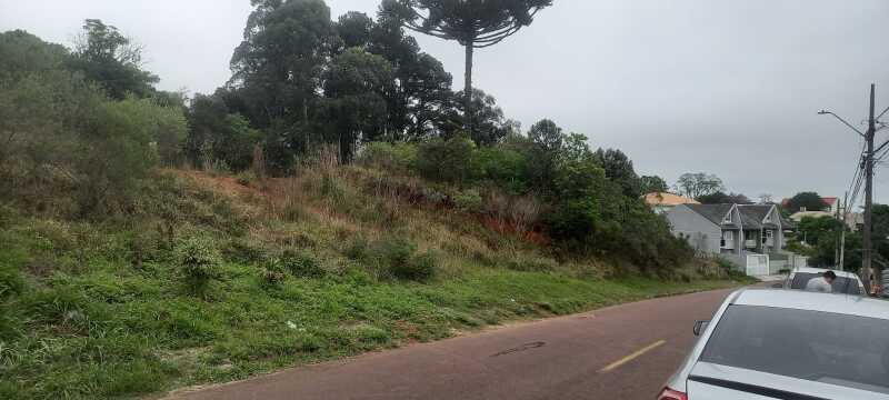 Foto 11 de 11: Terreno em leilão em São José Dos Pinhais - PR — LOTE 001 Terreno em São José dos Pinhais
