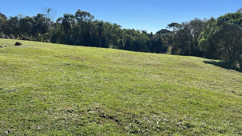 Foto 8 de 15: Terreno em leilão em Curitiba - PR — LOTE 009 Terreno no Ganchinho