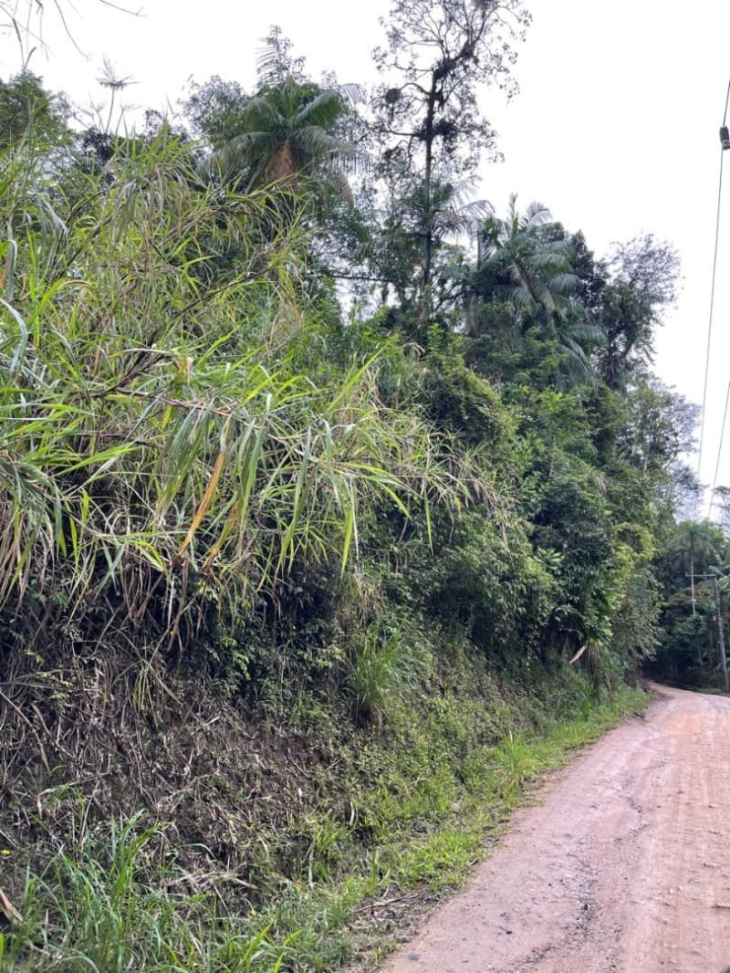 Foto 6 de 10: Terreno em leilão em Blumenau - SC — LOTE 002 TERRENO