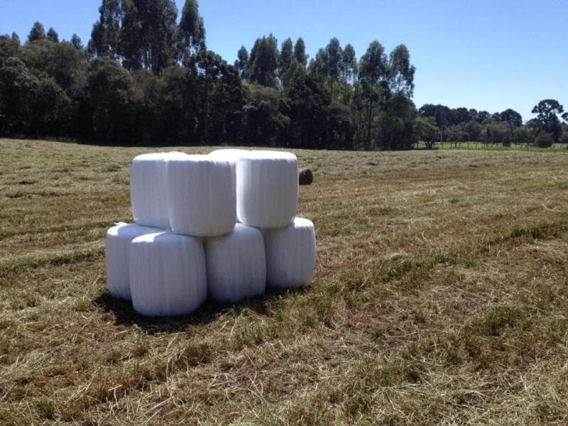 Foto 4 de 12: Imóvel em leilão em Piraquara - PR — LOTE 004 Área em Piraquara