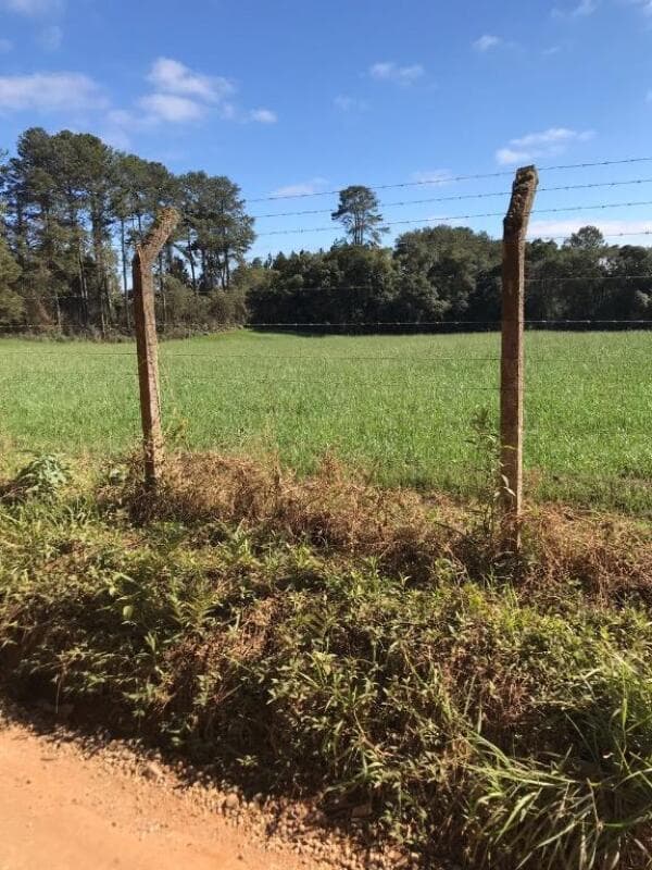 Foto 9 de 12: Imóvel em leilão em Piraquara - PR — LOTE 004 Área em Piraquara
