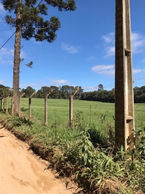 Foto 11 de 12: Imóvel em leilão em Piraquara - PR — LOTE 004 Área em Piraquara