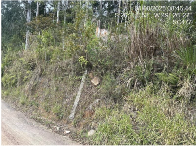 Foto 8 de 10: Terreno em leilão em Benedito Novo - SC — LOTE 001 TERRENO