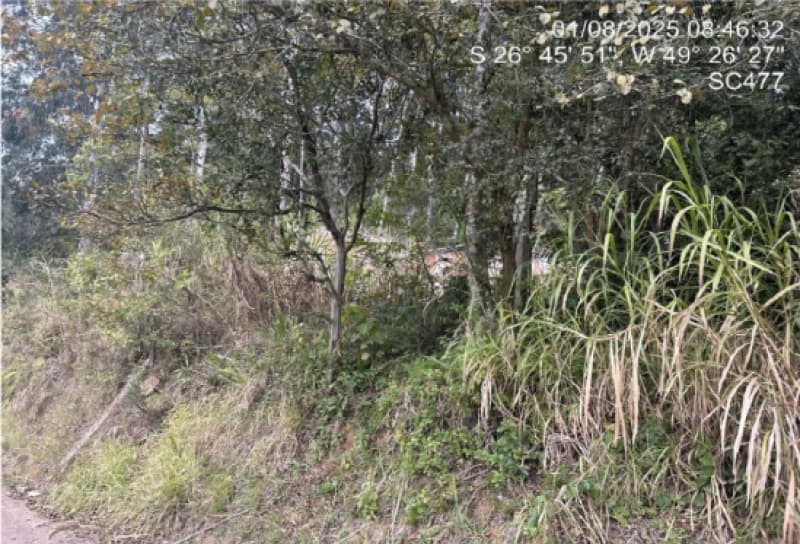 Foto 9 de 10: Terreno em leilão em Benedito Novo - SC — LOTE 001 TERRENO