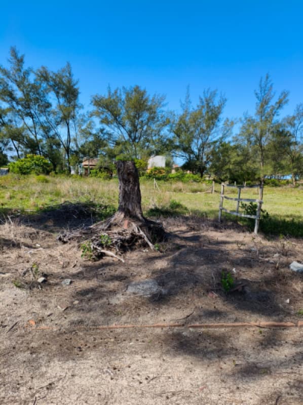 Foto 5 de 7: Terreno em leilão em Balneário Arroio Do Silva - SC, bairro Arpoador — LOTE 001 TERRENO URBANO